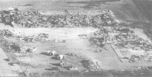 The Niles Park Plaza shopping center was obliterated. Credit: extremeplanet