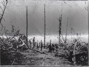 The remnants of the Pleasant Valley school, and the beautiful woods that once surrounded it. Credit: Arkansas Gazette