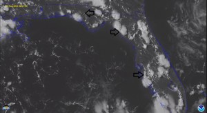 The black arrows point to developing sea breeze thunderstorms. On two of them, you can clearly see a line of small clouds adjacent to the thunderstorms that mark the location of the sea breeze front.  Source: University of Wisconsin