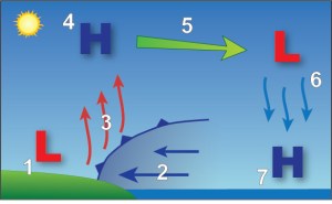 Schematic showing the sea breeze circulation and the development of the sea breeze front.  Source: NOAA